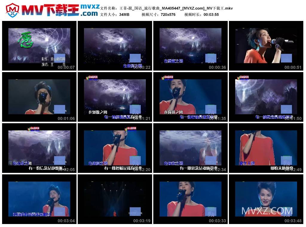 王菲-愿_国语_流行歌曲_MA405447